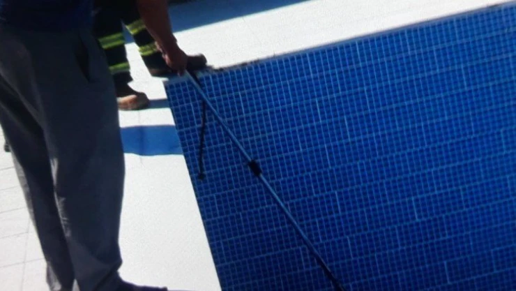 Havuza düşen köpeği itfaiye ekipleri kurtardı