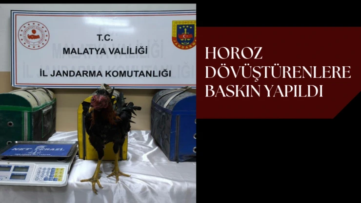 Horoz dövüştürenlere baskın yapıldı