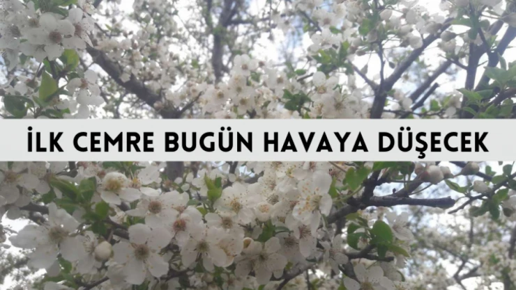 İlk cemre bugün havaya düşecek