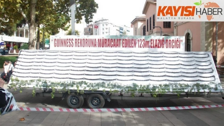 İsveç'e rakip Elazığ'da 123 metrelik orcik yapıldı