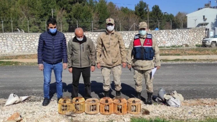 Jandarma keklikleri özgür bıraktı