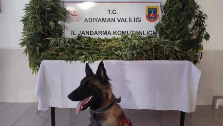 Jandarma uyuşturucuya geçit vermiyor