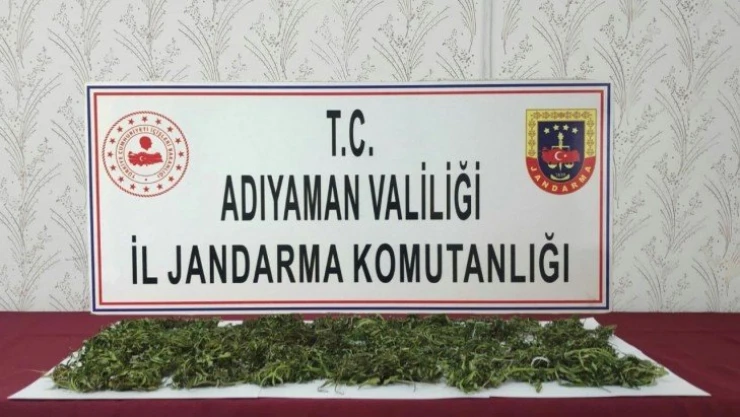 Jandarmadan uyuşturucu operasyonu
