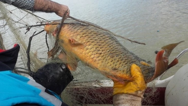 Kaçak avda kullanılan bin metre ağ ile 400 kilo balık ele geçirildi