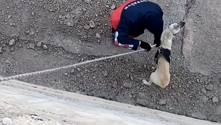 Kanala düşen köpeği itfaiye kurtardı