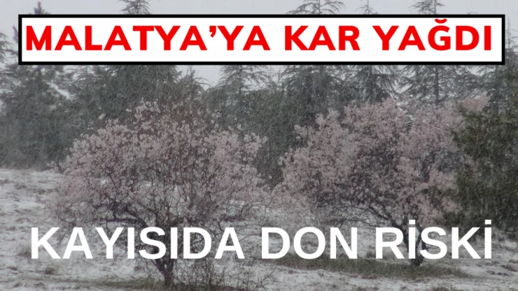 Kar yağışı don riskini artırdı