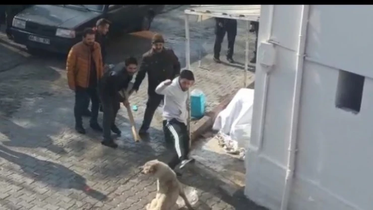 Köpeklerin kavgasına tekmeli müdahale