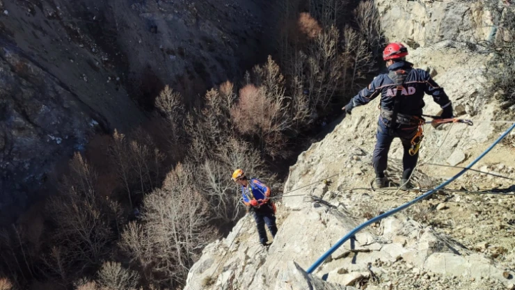 Kayalıklarda 5 gün boyunca mahsur kalan keçileri AFAD kurtardı