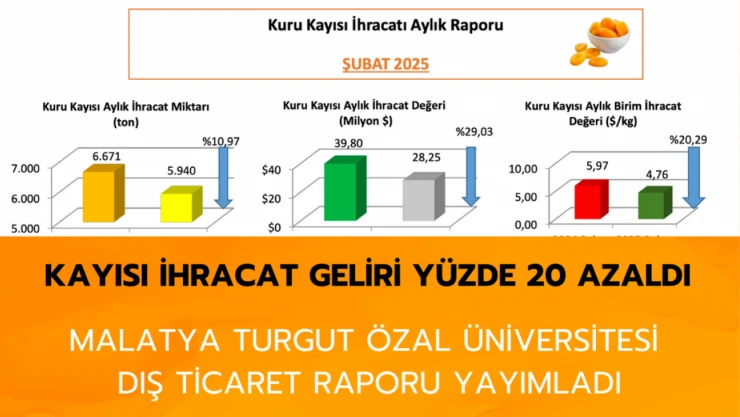 Kayısı ihracat geliri yüzde 20 azaldı