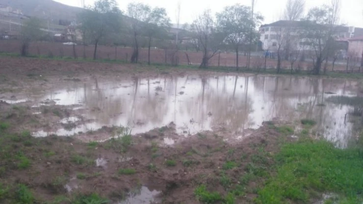 Kovancılar'da yağış, ekinlere zarar verdi