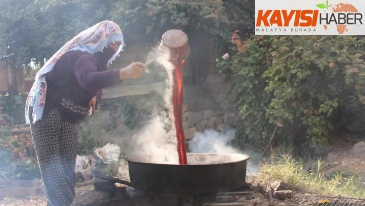 Köylerde şifa kaynağı 'Pekmez' mesaisi