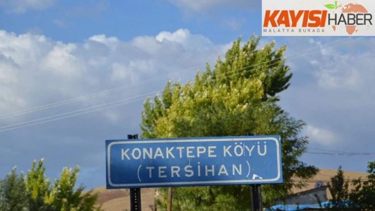 Malatya Orman İşletme Müdürlüğünün garip cevabı!