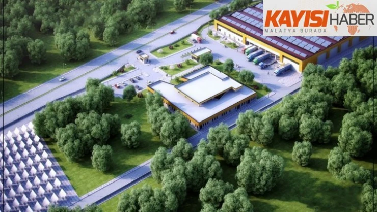 Kuru kayısı lisanslı depo projesi hayata geçiyor