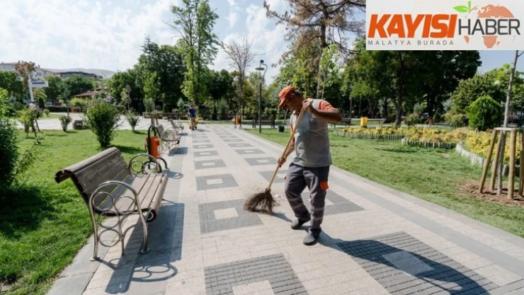 Kuruyan ağaçların yerine yenileri dikildi