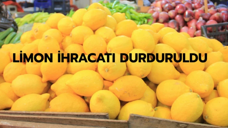 Limon ihracatı geçici olarak durduruldu