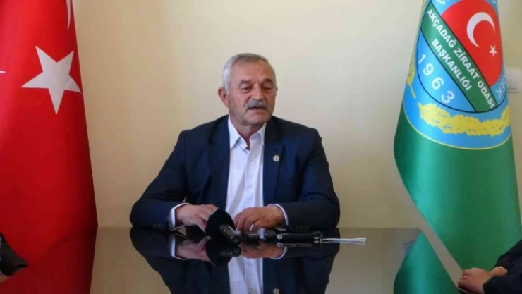 Malatya'da 300 bin kayısı ağacı doludan etkilendi