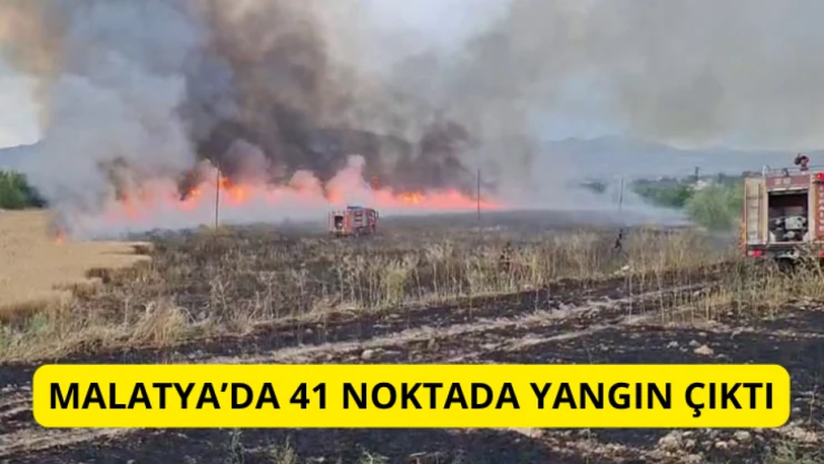 Malatya'da 41 noktada yangın çıktı