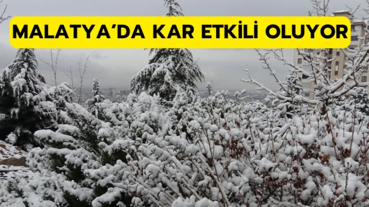 Malatya'da kar etkili oluyor
