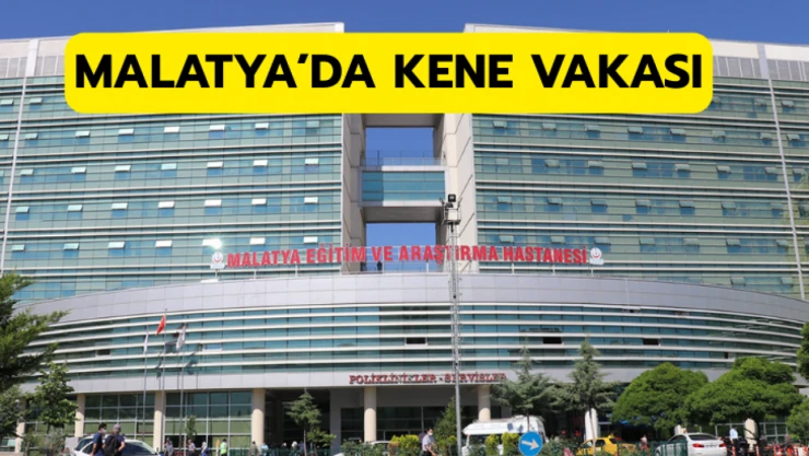 Malatya'da kene vakası