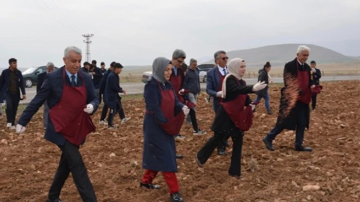 Malatya'da öğrenciler buğday ekimi yaptı