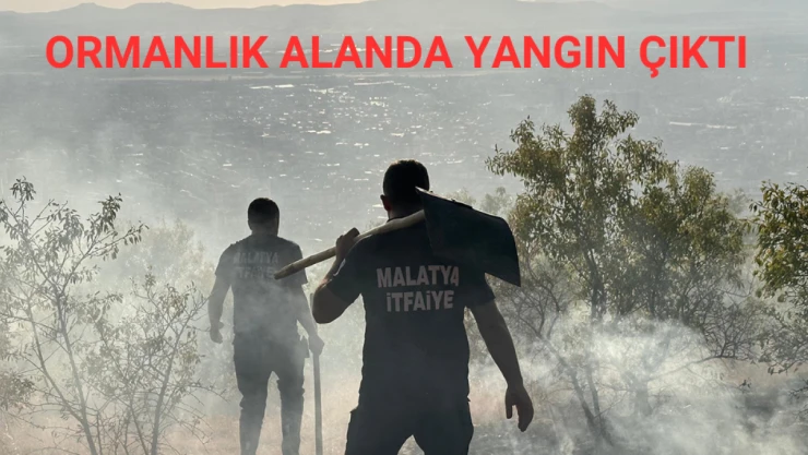 Malatya'da ormanlık alanda yangın