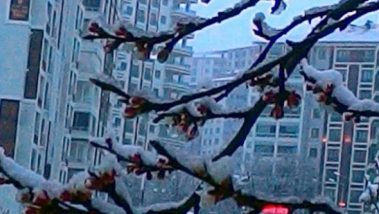 Malatya'da zirai don uyarısı