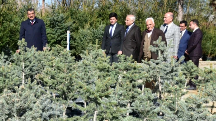 2017 yılında 100 bin fidan toprakla buluşacak