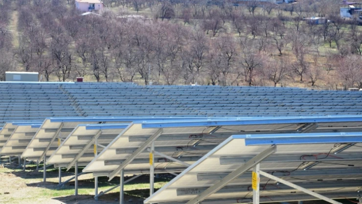Kayısı bahçeleri güneş enerji tarlalarına dönüşüyor!
