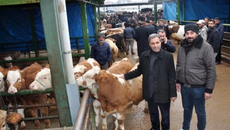 Malatya Hayvan Pazarı kapatıldı