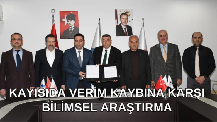 Malatya kayısısında verim kaybına karşı bilimsel araştırma başlatılıyor