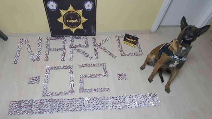 Narkotik ekipleri uyuşturucuya geçit vermiyor
