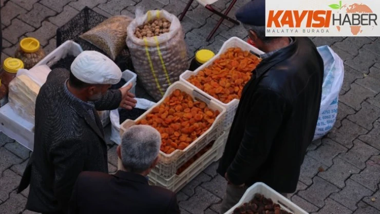 Natürel kayısı, üreticisinin yüzünü güldürdü