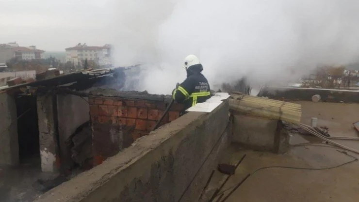 Odunluk yangını büyümeden söndürüldü