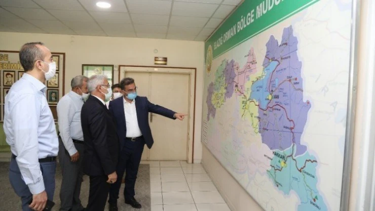 Orduzu'da küle dönen bölge yeniden yeşillenecek