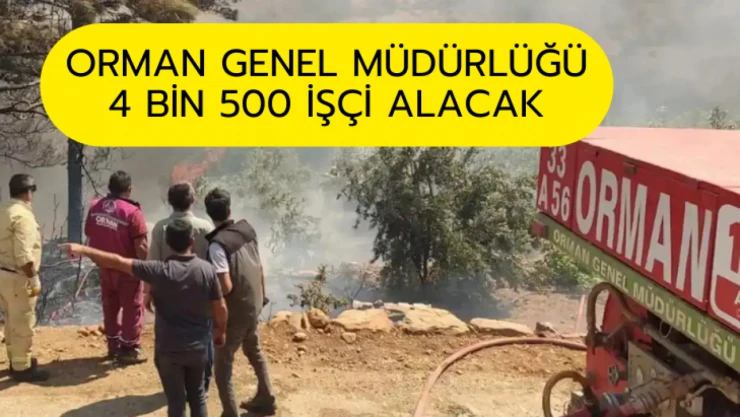 Orman Genel Müdürlüğü 4 bin 500 geçici işçi alacak
