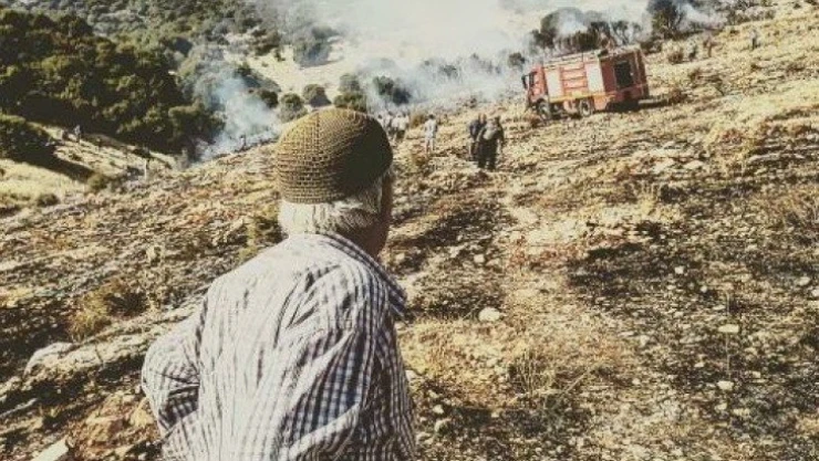 Orman yangını paniğe neden oldu