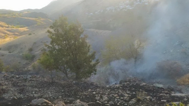 Orman yangınını köylüler söndürdü