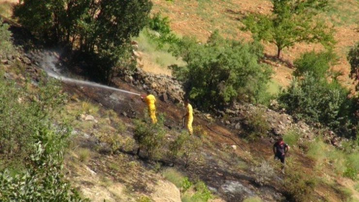 Örtü yangınında badem fidanları zarar gördü