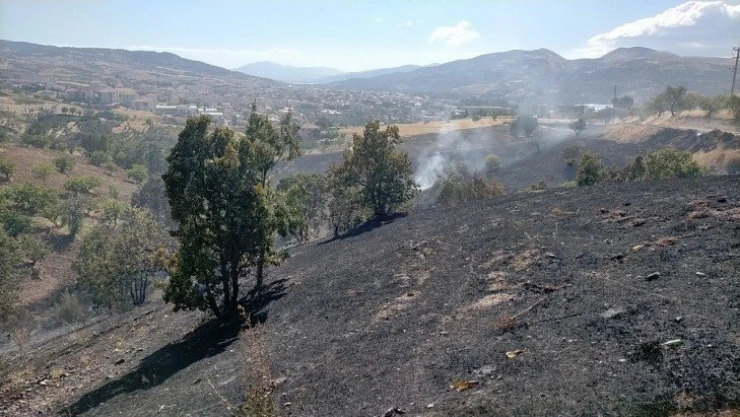 Otluk alanda çıkan yangın korkuttu