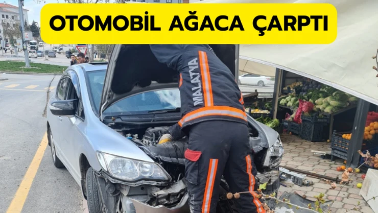 Otomobil ağaca çarptı