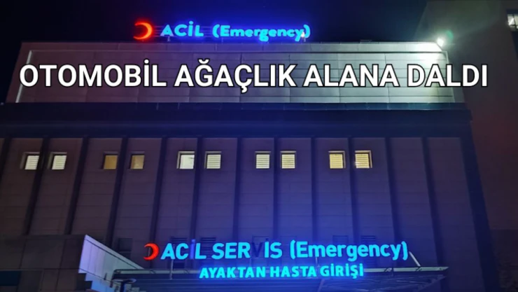 Otomobil ağaçlık alana daldı: 6 yaralı