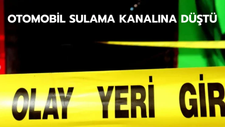 Otomobil sulama kanalına düştü