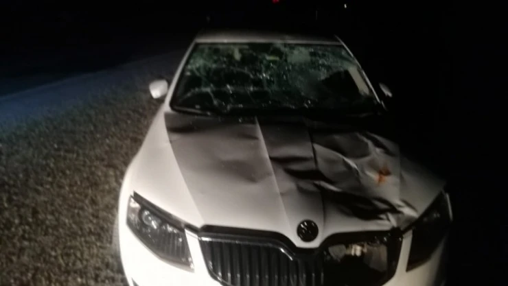 Otomobilin çarptığı çoban yaralandı