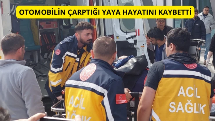 Otomobilin çarptığı yaya hayatını kaybetti