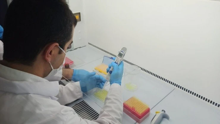 Elisa testi ile hem korona virüs hem de antikorun oranı tespit edilebilecek