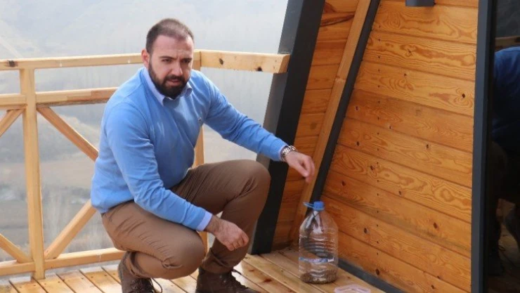 Pandemi sürecinde sokak hayvanları için öneriler