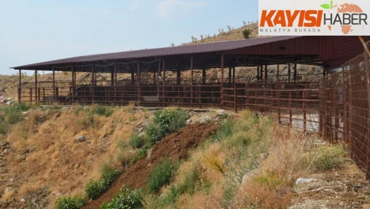 Sabah kahvaltılı, öğlen yemekli 5 yıldızlı kurban hizmeti