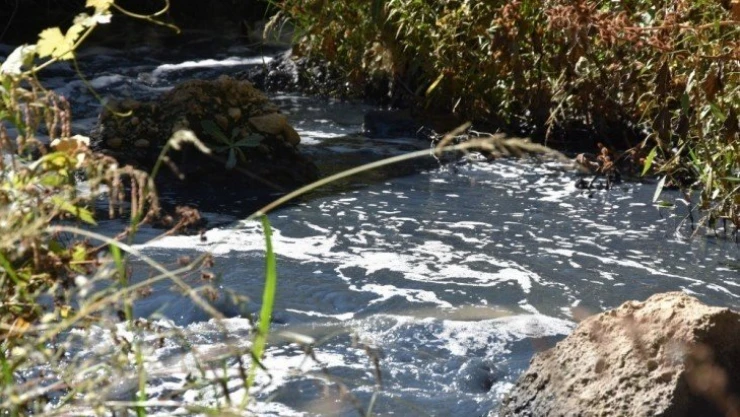 Sadıkoğlu'na OSB teşekkürü
