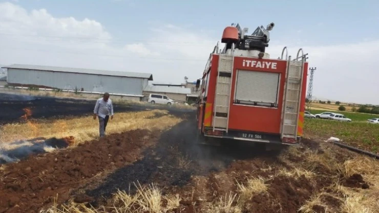 Saman balyaları yandı