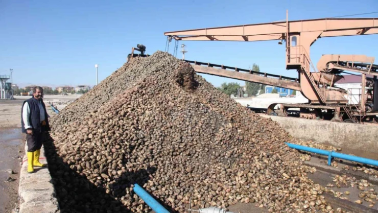 Şeker tedarikinde sıkıntı yaşanmayacak